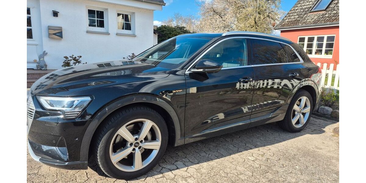 Audi e-tron 33.000 km 29.999 &euro; Bad Oldesloe 23843