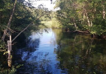 VW Sharan 83.000 km 27.950 &euro; Mustin 23911