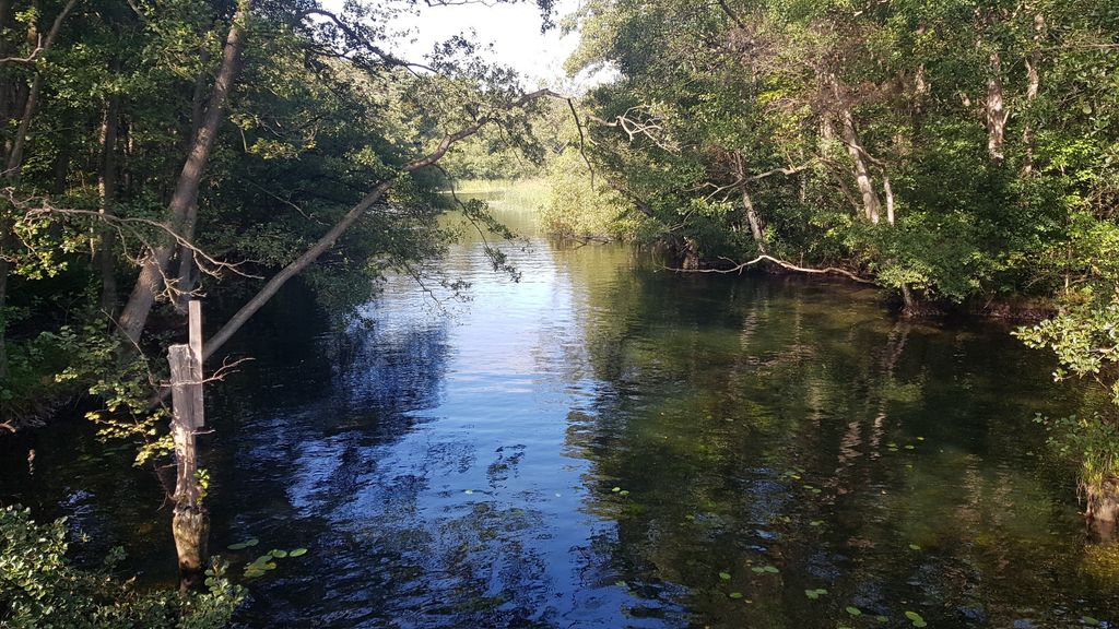 VW Sharan 83.000 km 27.950 &euro; Mustin 23911