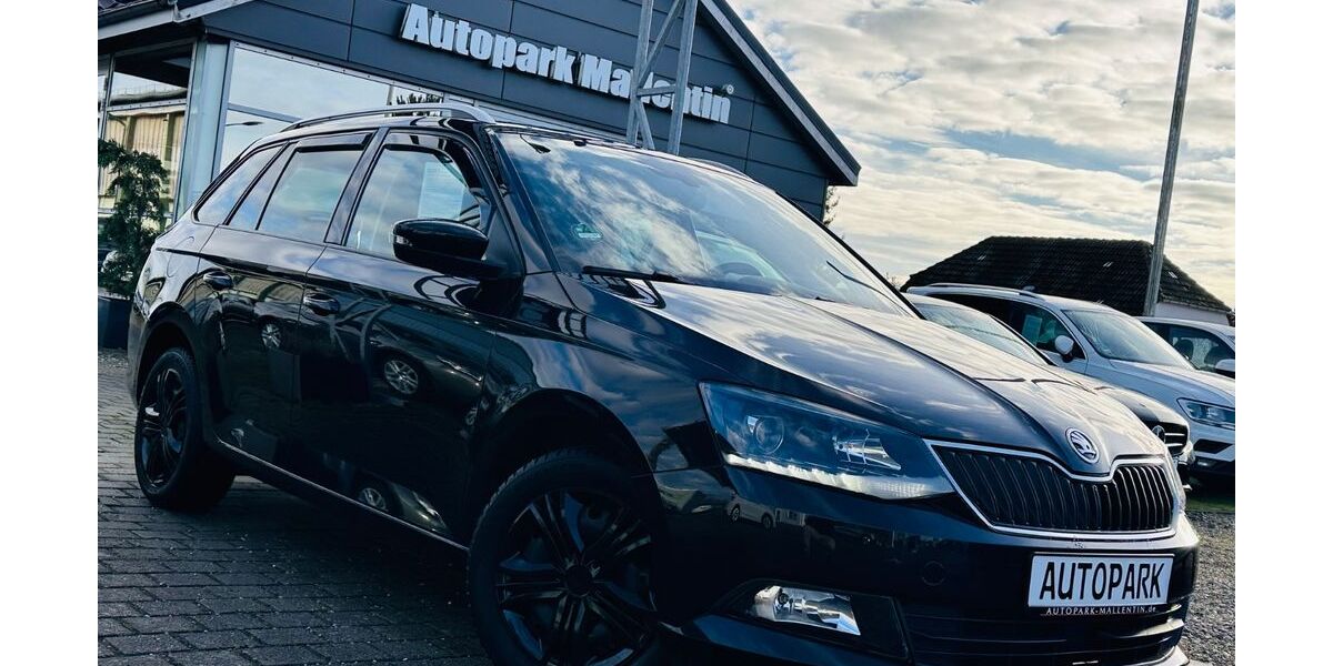 Skoda Fabia 97.000 km 10.849 &euro; Stepenitztal 23936