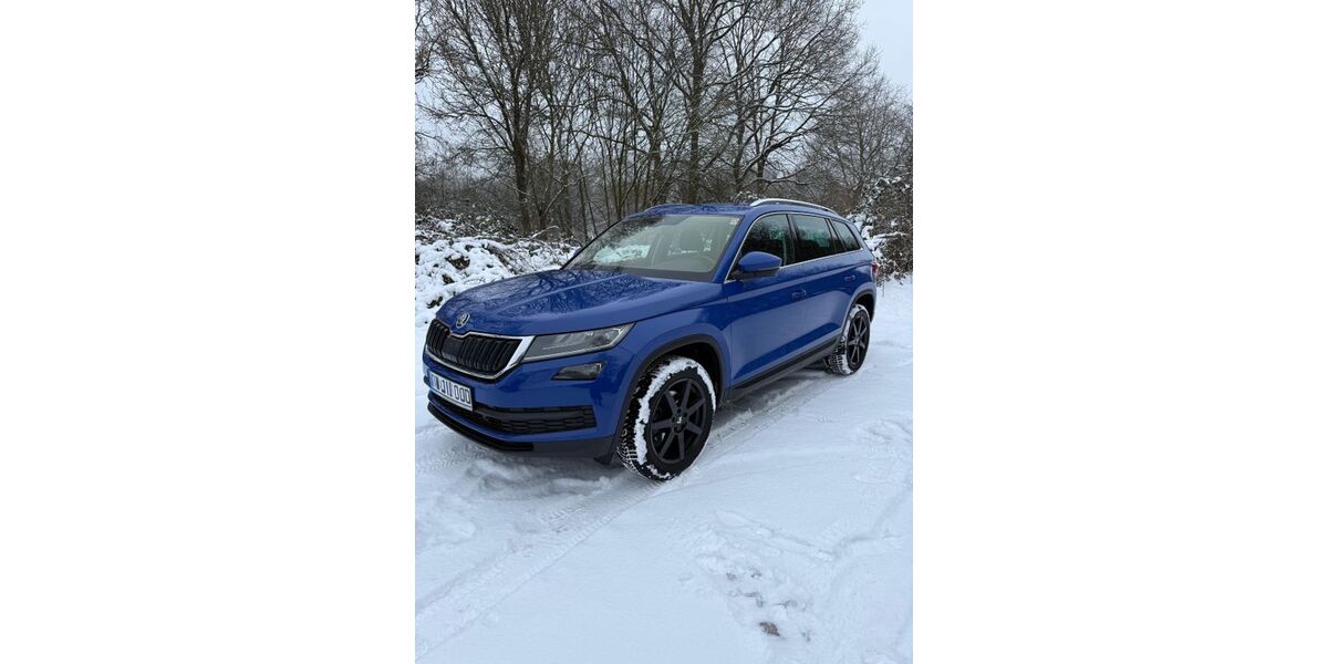 Skoda Kodiaq 151.170 km 16.000 &euro; Mölln 23879