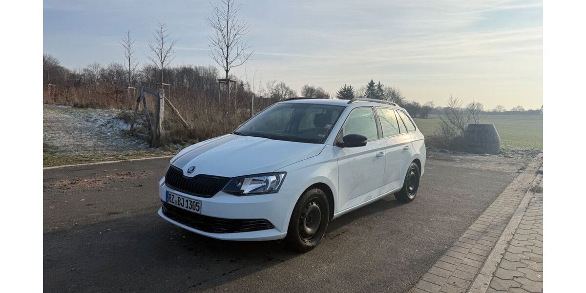 Skoda Fabia 77.788 km 8.800 &euro; Einhaus 23911