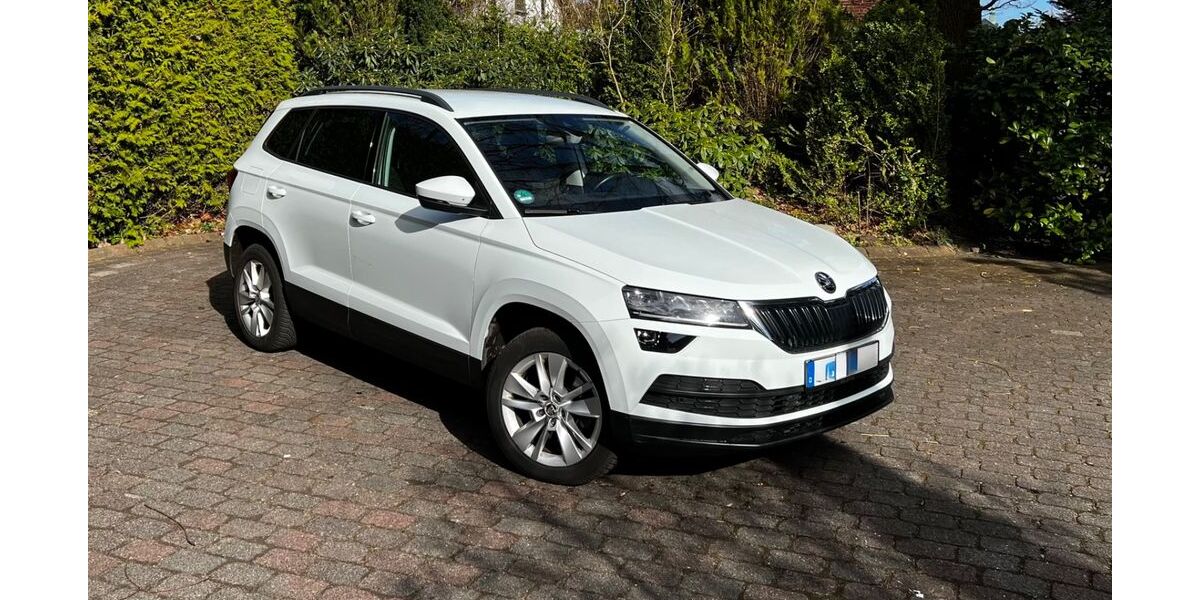 Skoda Karoq 223.000 km 11.500 &euro; Groß Niendorf 23816