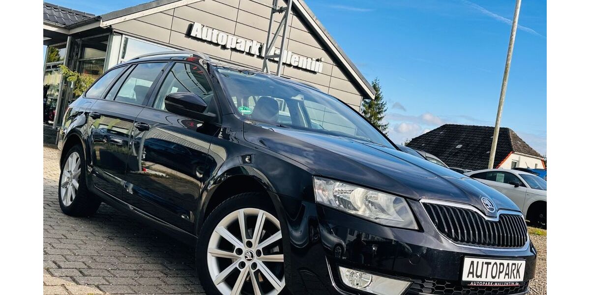 Skoda Octavia 155.700 km 10.488 &euro; Stepenitztal 23936