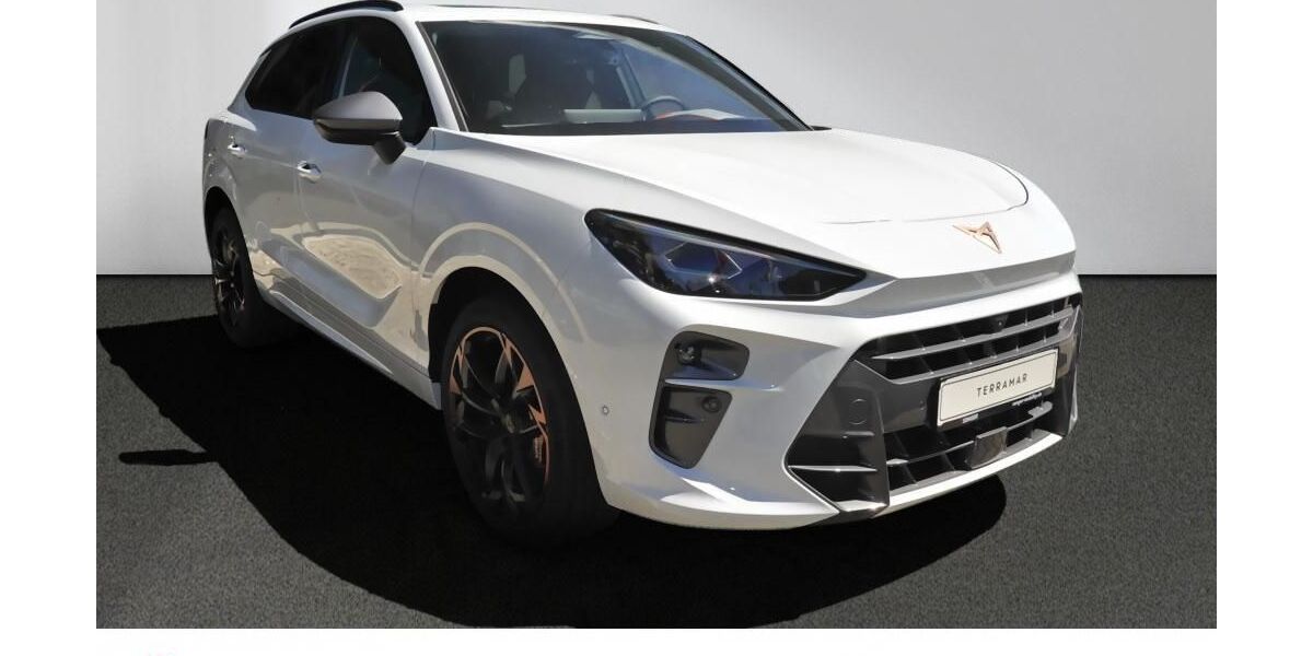 Cupra Terramar 9.500 km 49.990 &euro; Bad Schwartau 23611