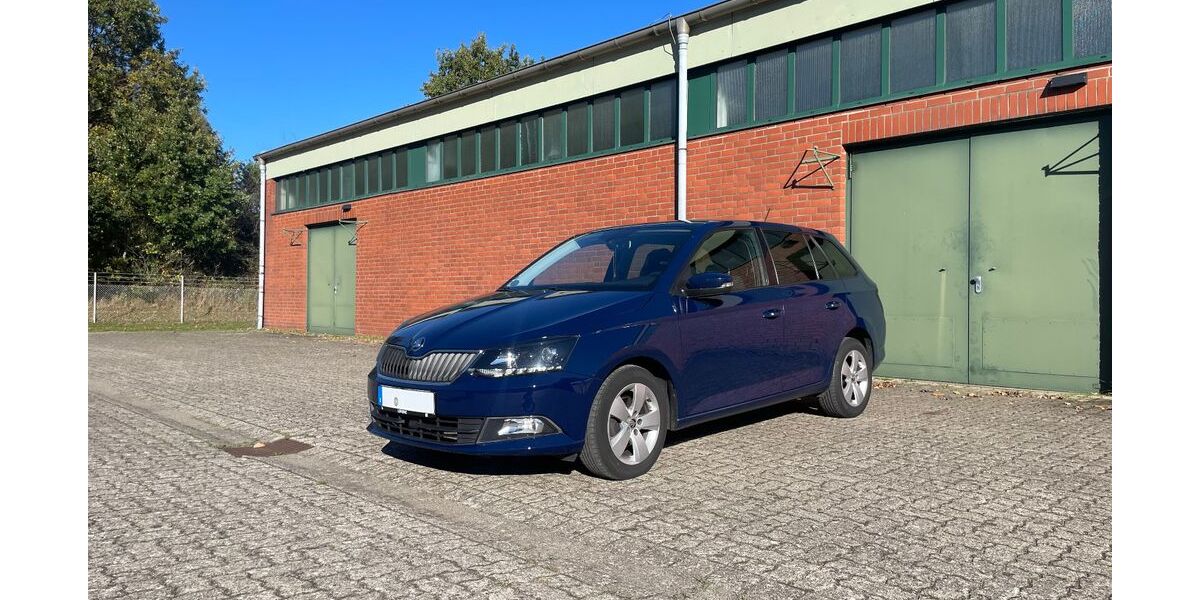 Skoda Fabia 135.000 km 9.500 &euro; Bad Oldesloe 23843