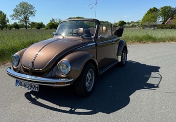 VW Käfer 49.000 km 39.000 &euro; Travenbrück (OT Tralau) 23843