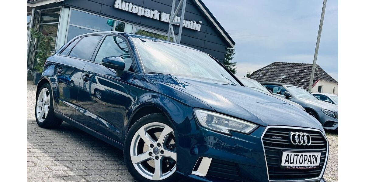 Audi A3 150.000 km 16.799 &euro; Stepenitztal 23936