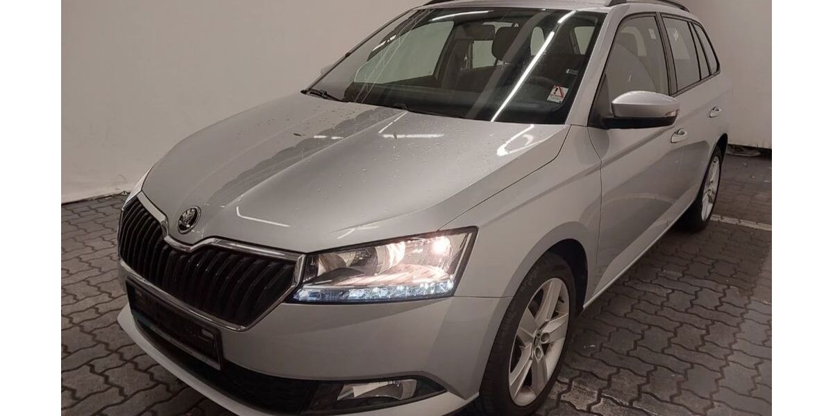 Skoda Fabia 48.000 km 11.598 &euro; Stepenitztal 23936