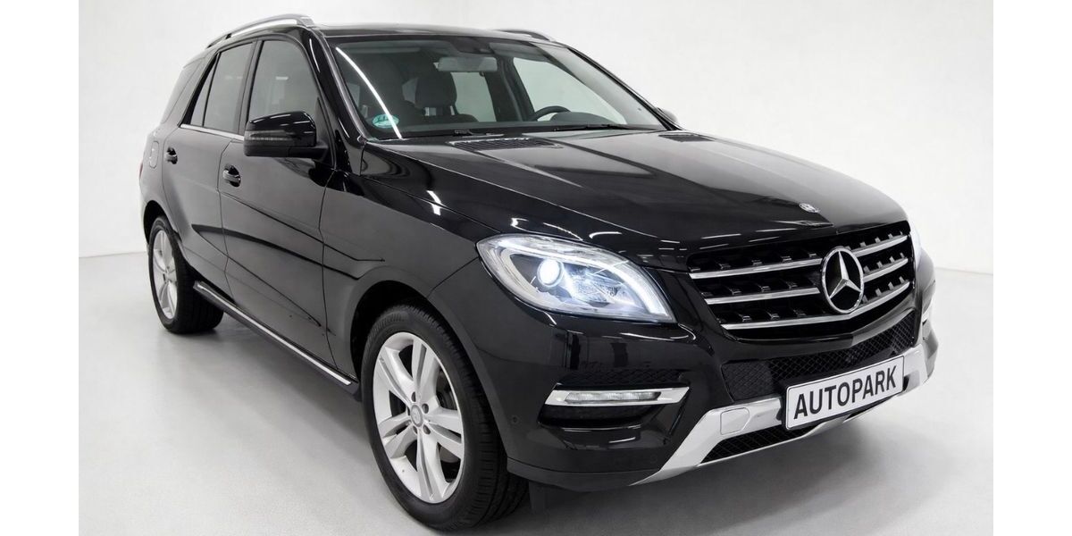 Mercedes-Benz ML 250 185.000 km 21.485 &euro; Stepenitztal 23936