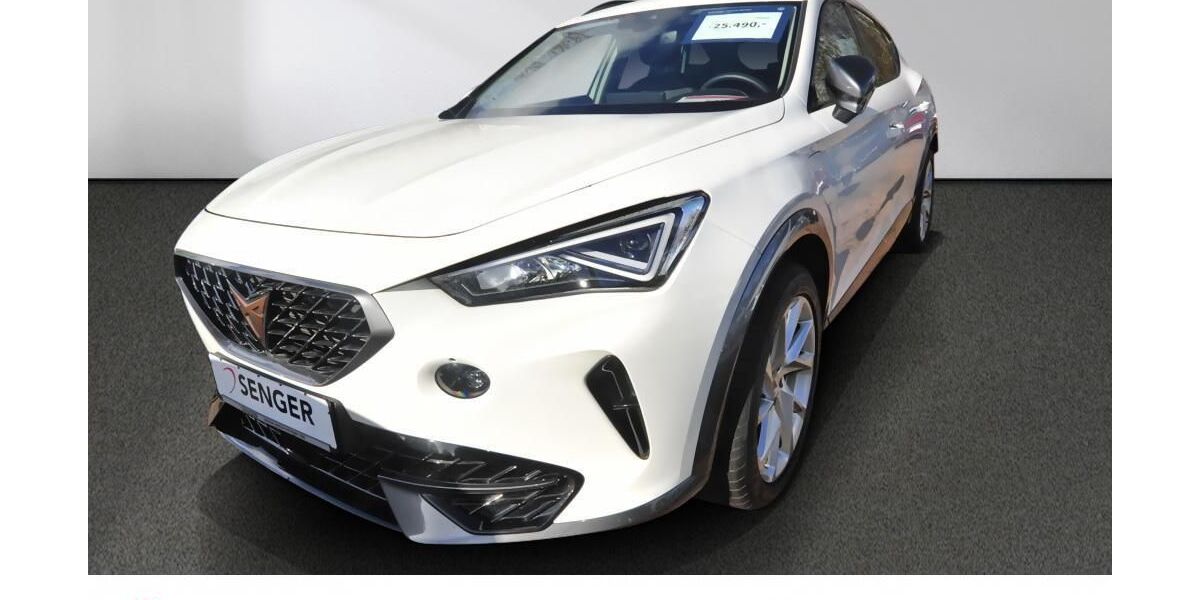 Cupra Formentor 53.200 km 24.680 &euro; Bad Schwartau 23611