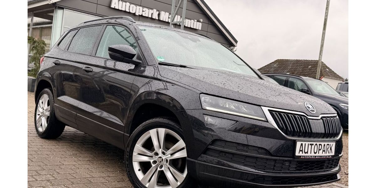 Skoda Karoq 149.800 km 15.899 &euro; Stepenitztal 23936