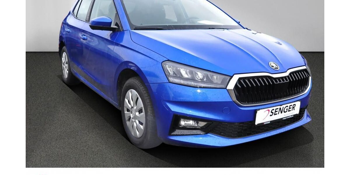 Skoda Fabia 34.550 km 18.680 &euro; Bad Segeberg 23795