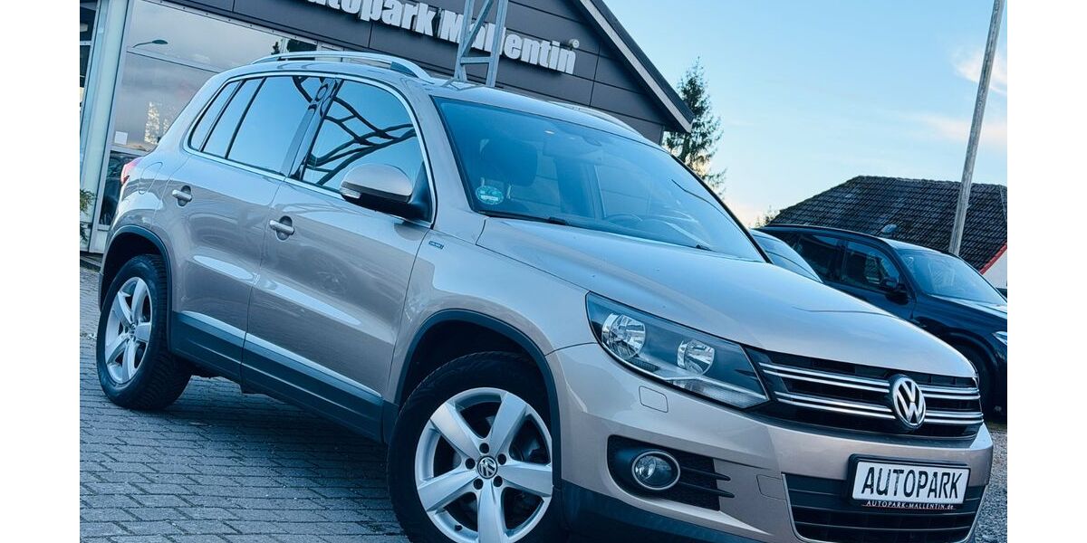 VW Tiguan 97.000 km 13.899 &euro; Stepenitztal 23936