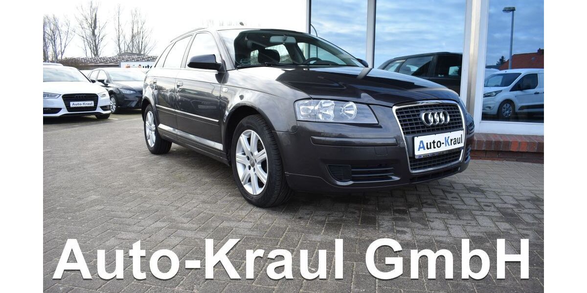 Audi A3 187.164 km 5.249 &euro; Rehna 19217
