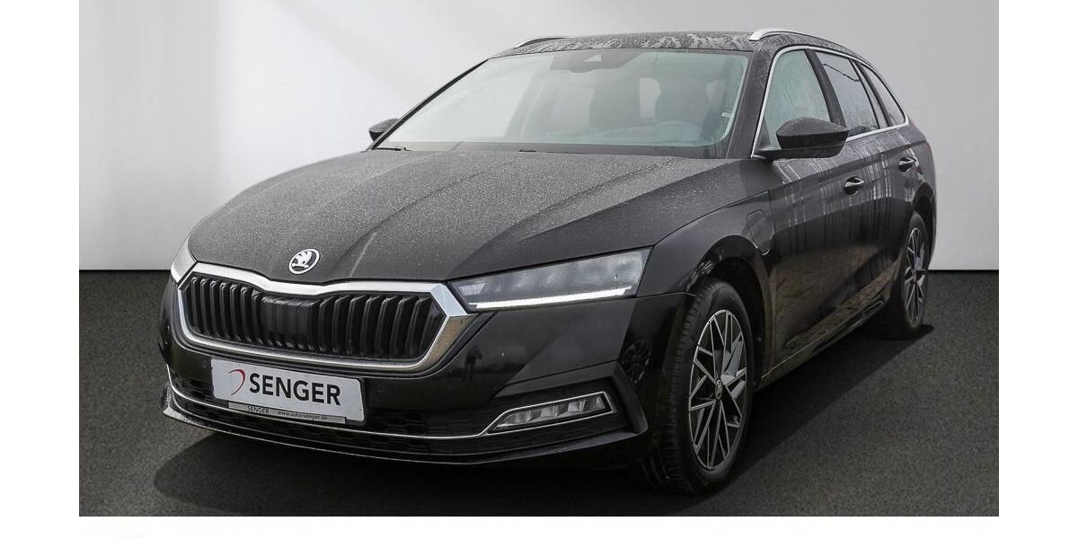 Skoda Octavia 122.850 km 18.880 &euro; Bad Segeberg 23795