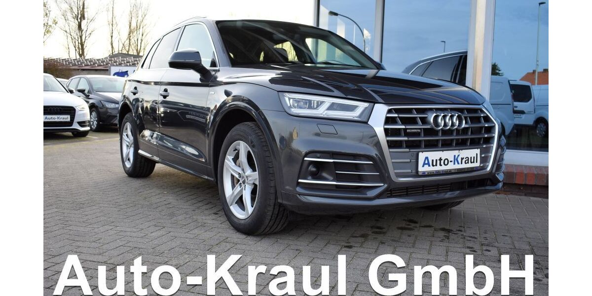 Audi Q5 88.103 km 31.349 &euro; Rehna 19217