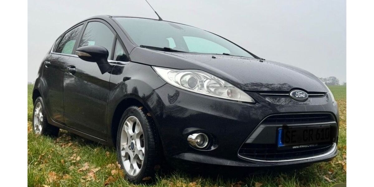 Ford Fiesta 175.000 km 4.350 &euro; Leezen 23816